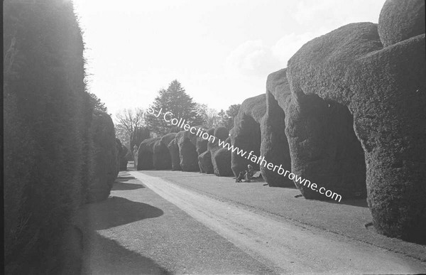 HEADFORD HOUSE  THE YEW WALK